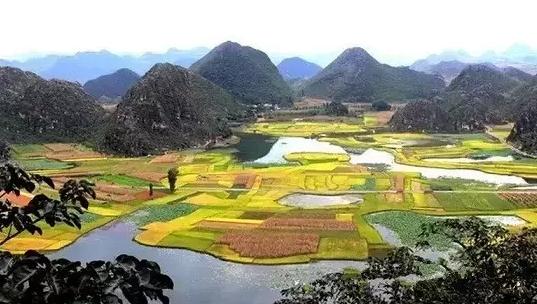 云南，生态宝库与多元文化交融的旅游瑰宝