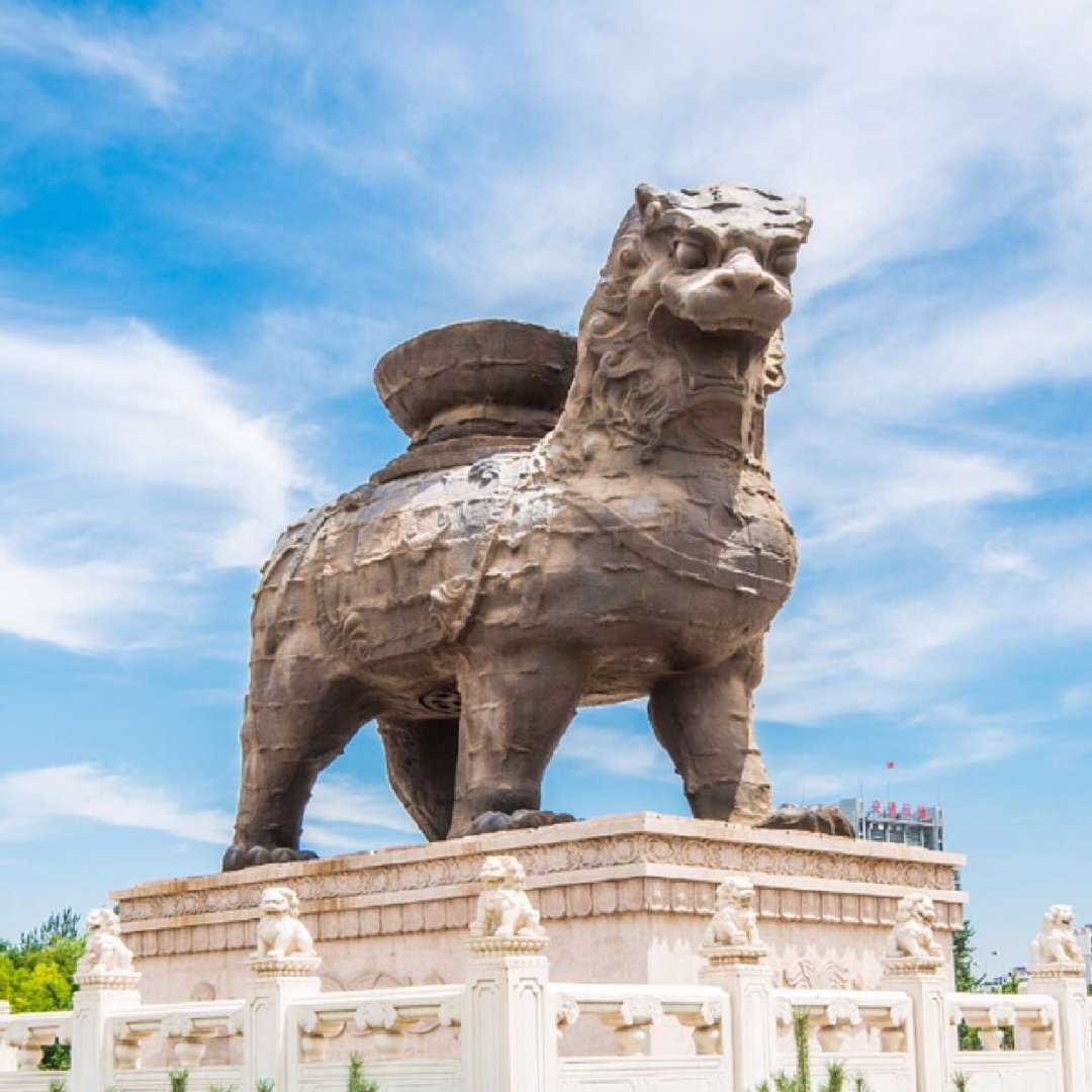 沧州任务攻略与技能学习指南，详细步骤助你轻松掌握！