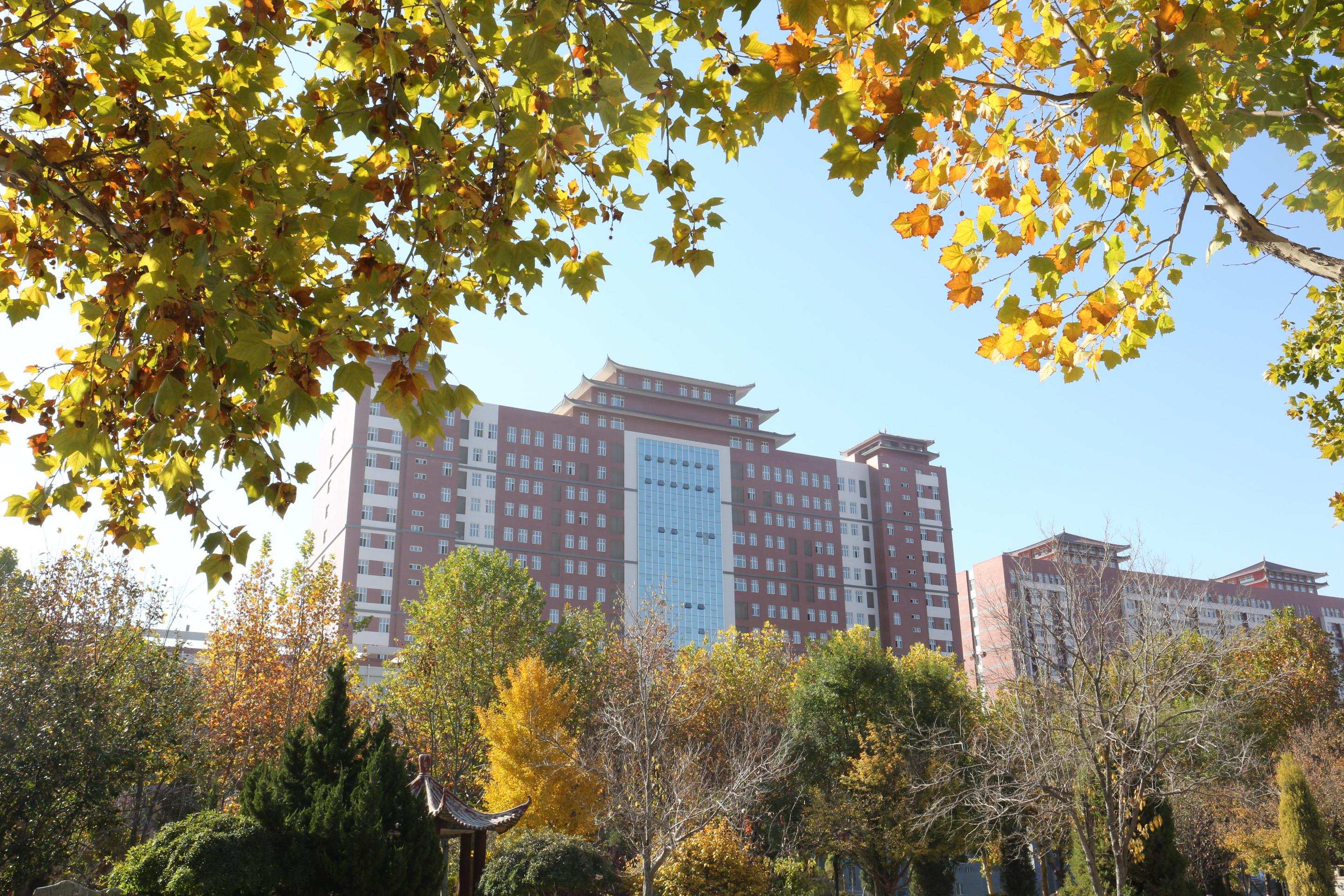 探寻保定自然之美，邂逅心灵净土之旅